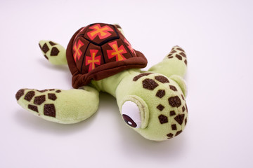 tortue peluche