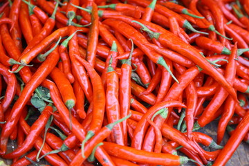 RED CHILLI