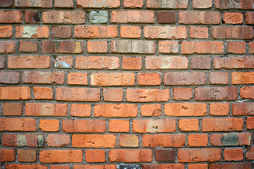 Brick wall. Background