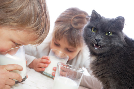 children and cat drinking milk