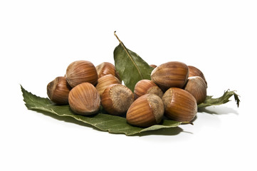 Avellanas de temporada