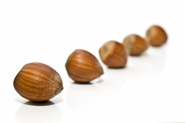 Avellanas en profundidad