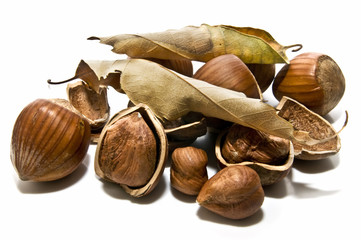 Revuelto de avellanas y hojas