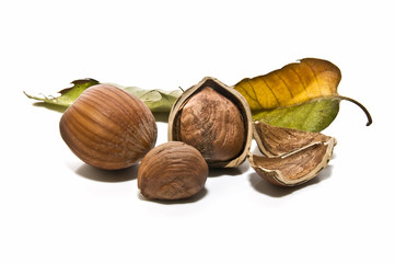 Decoración de avellanas