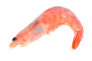 Frozen Shrimps