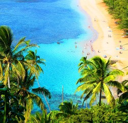 Hawaiian Beach - obrazy, fototapety, plakaty