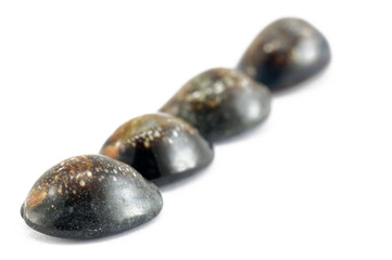 shell