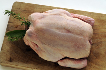 Pollo crudo con erbe