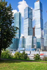 Skyscrapers and grass