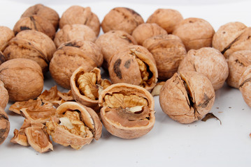 walnut