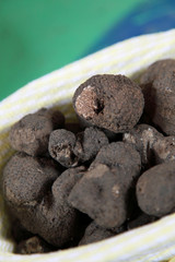 Vente de Truffes noires au marché de Carpentras #1