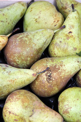 au marché : poires, variété 