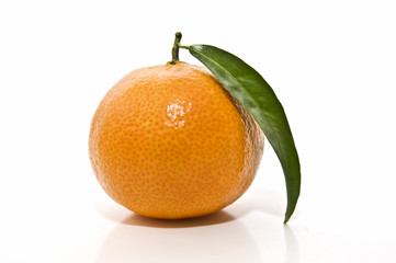 Mandarina recien cosechada