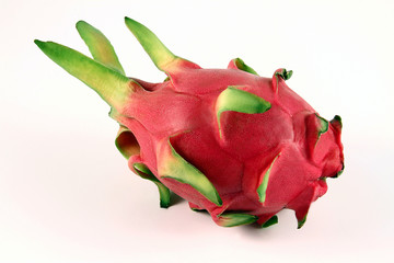 drachenfrucht1