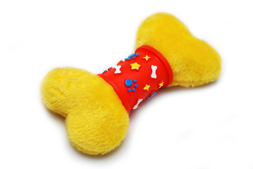 Colourful bone toy for dog