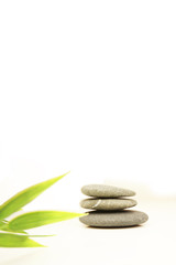 Obraz premium fond cailloux et feuille