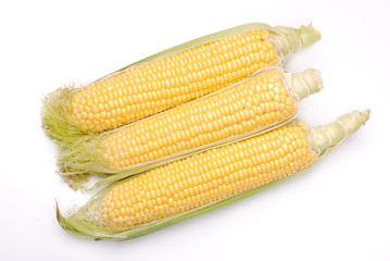 Corn on the cob isolated