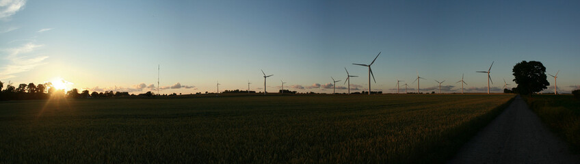 Fototapeta premium windradlandschaft