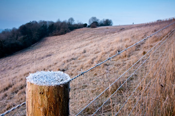 Frosty Barbed Wire Fence