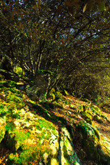 Mountains of Cyprus, Troodos waterfalls
