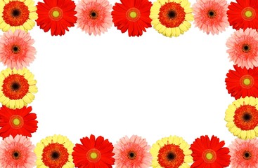 Obraz premium Isolate beautiful frame flower