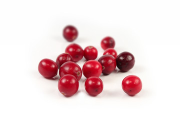 Red cranberry on white