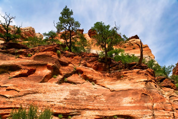 Reliefs of Zion Canyon