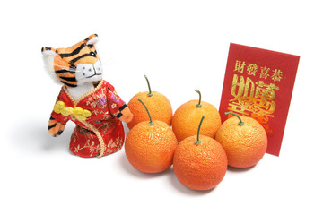 Chinese New Year Decorations