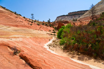 Reliefs of Zion Canyon