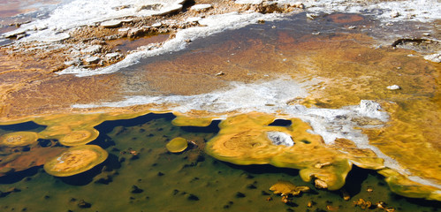 Yellowstone yellow mineral hot pool with vibrant yellow colors