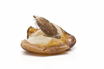 Macro de dátil con su hueso asomando.