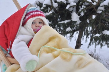 baby in sled