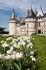 Chateau de Chaumont - France