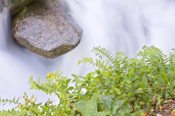 Mountain river in Geres National park, north of Portugal