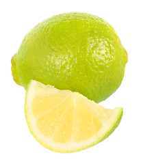 Limes