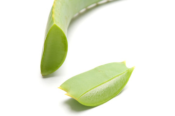 Closeup of the Aloe Vera sliced leaf in white background