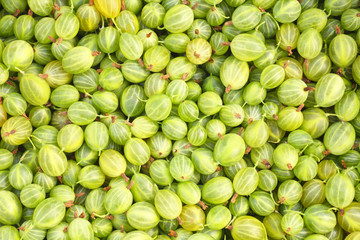 Gooseberries Background