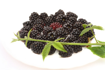Blackberries on white plate