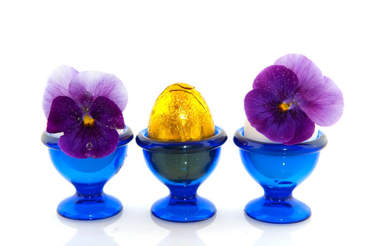 easter nest - Powered by Adobe