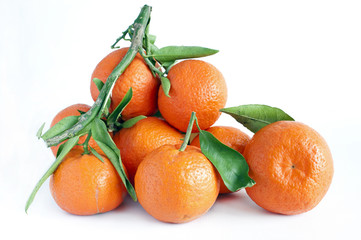 Heap of fresh Clementine isolated on white background