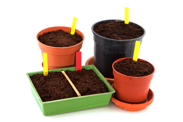 Sowing seeds