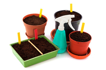 Sowing seeds
