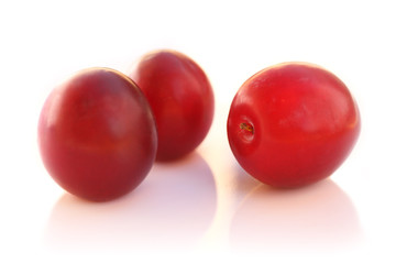Red Plum