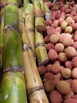 canne &agrave; sucre et lychees