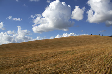 Fototapeta na wymiar Tuscany Landscape