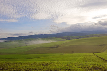 verde toscana