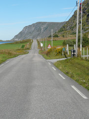 Lofoten's main road