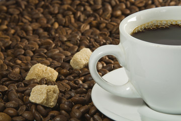 Coffee Cup