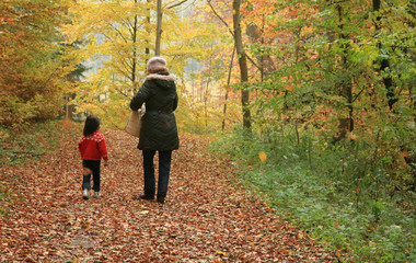 Fototapeta premium child outdoor in forest