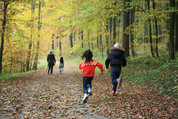 Fototapeta premium child outdoor in forest